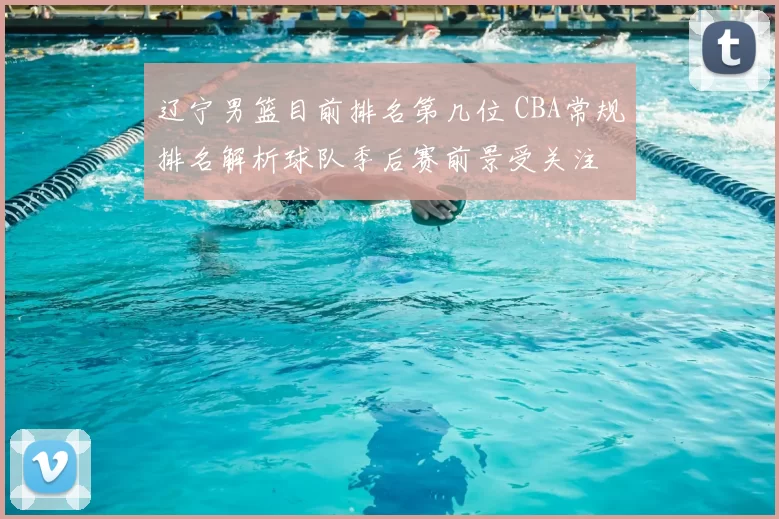 辽宁男篮目前排名第几位 CBA常规排名解析球队季后赛前景受关注