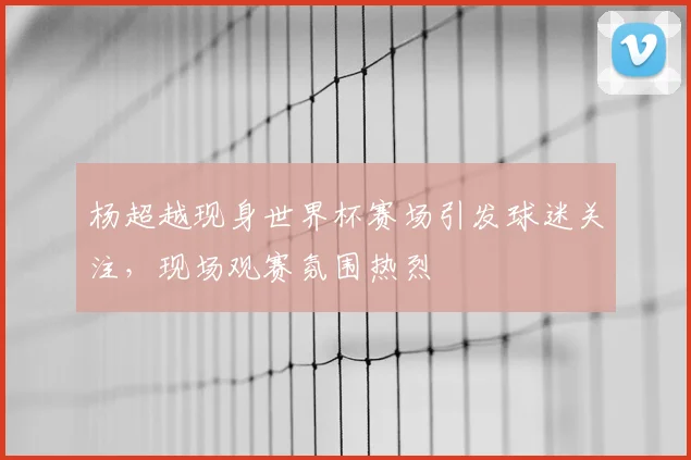 杨超越现身世界杯赛场引发球迷关注，现场观赛氛围热烈